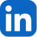 linkden-icon